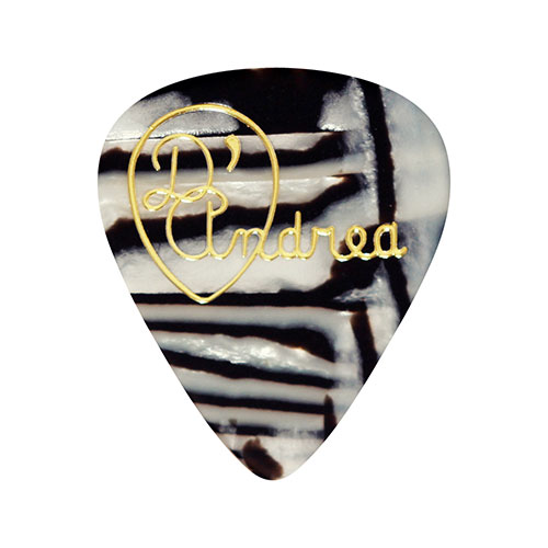 Zebra Pearl | Wild Celluloid